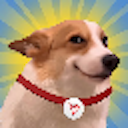 sundog