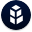 bnt
