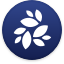 nkn